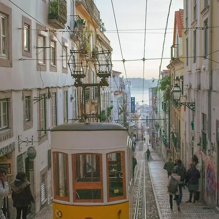 Apartment Bica